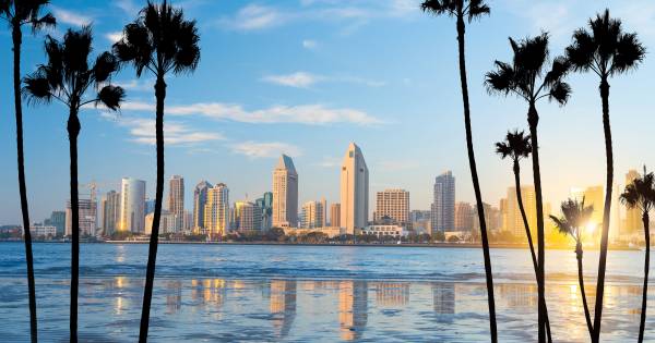 **AI's Pilot Seat: How Travel Executives Are Charting a New Course**