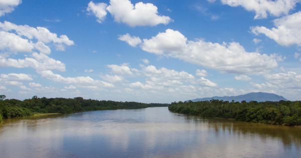 **Amazon Awakening: Luxury Cruises Unveiling the Rainforest's Hidden Heart**