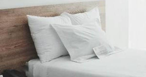 **Bed Bug Battles: Proactive Prevention Holds the Line Against Travel Pests**