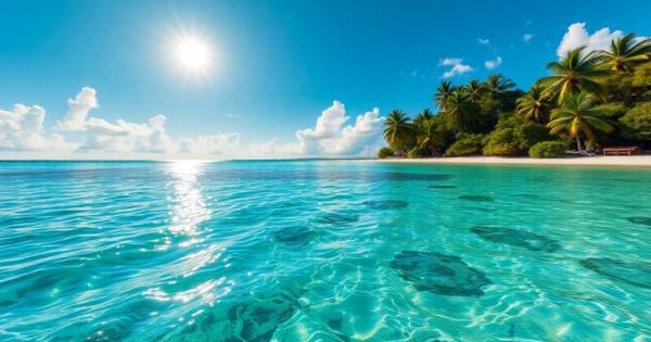 Caribbean Hosts Direct Booking Summit: A Shift in Travel Power Dynamics