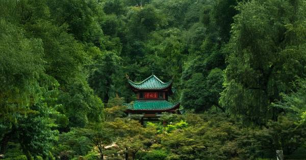 **Cathay Pacific Reinvigorates Hong Kong-Changsha Route, Signaling China Travel Recovery**