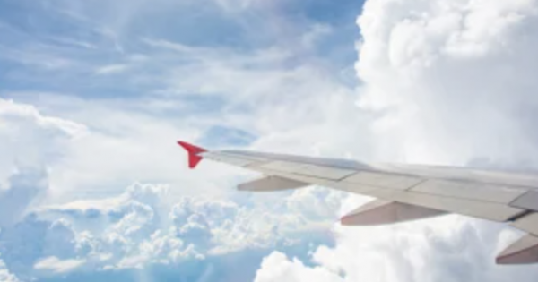 **Decoding Flight: IATA Unveils the 2024 Air Travel Landscape**