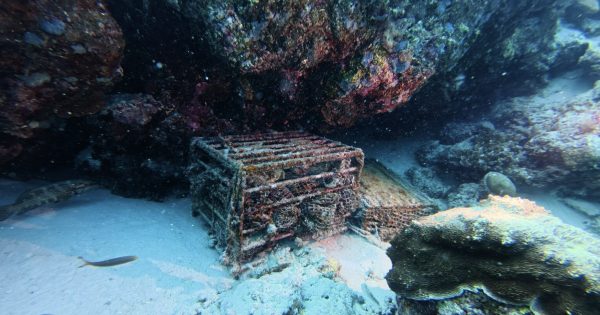 Dive Into Luxury: Maldives Resort Unveils World's First Certified Underwater Residence