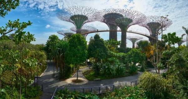**Gardens by the Bay: Where Asia's Floral Masterpieces Bloom - A 20-Year Celebration**