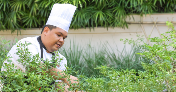 **Koh Samui's Culinary Heartbeat: Santiburi's 100-Mile Feast Blooms Anew**