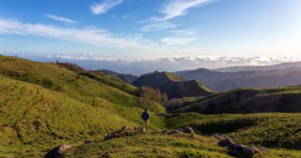 **Madeira Soars: More Flights, Easier Access for UK Winter Getaways**
