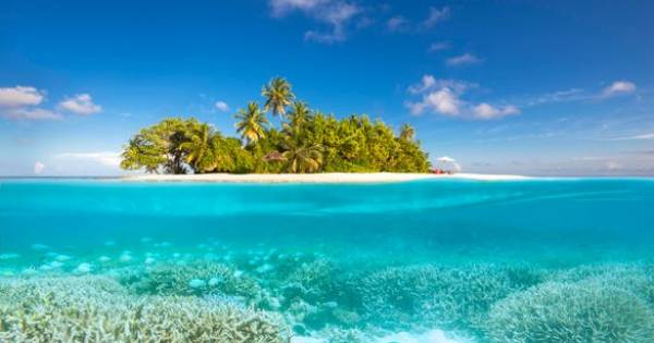 Maldives & Mars: A Cosmic Collaboration to Save Coral Reefs