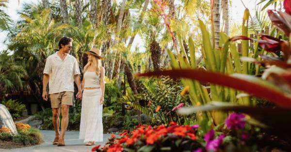 Ocean Whispers & Palm Shadows: San Diego's Exclusive Beachfront Sanctuary