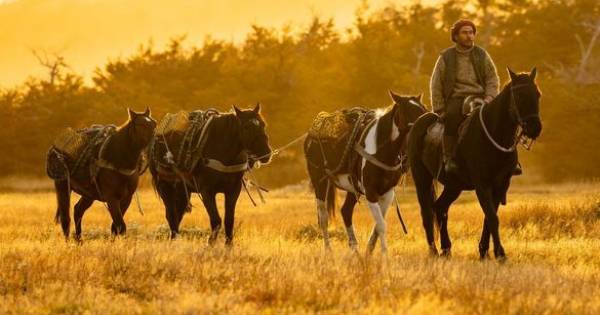 **Patagonia Beckons: Immerse Yourself in Authentic Cowboy Culture for Wellness and Adventure**