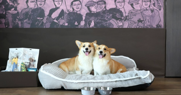 **Pawsitively Perfect Getaways: Avani Hotels Celebrates Canine Companions Across Thailand**