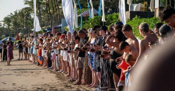 **Seminyak Resort Celebrates Milestone: Olive Ridley Turtle Hatchlings Released into the Ocean**