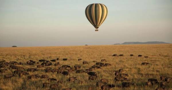 Serengeti's Soul: Four Seasons Offers Unrivaled Immersion in the Great Migration