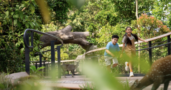 **Singapore Airlines & Mandai Wildlife Group Forge Adventure Partnership to Boost Tourism**