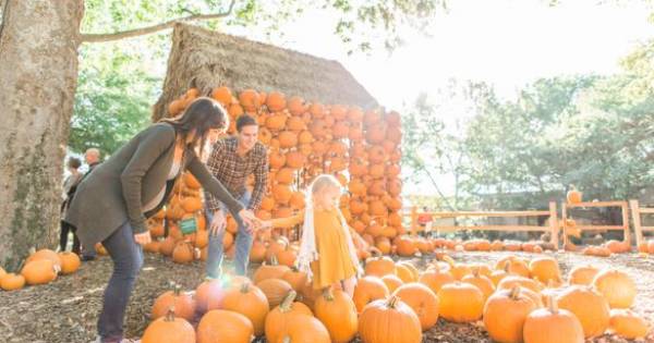 **Tennessee's Autumn Awakening: A Season of Color, Campfires, and Spooky Delights**